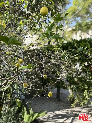 a view of an outdoor space with seating area