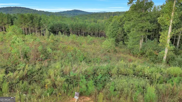 $95,000 | Lt 271 Highgrove Drive, Talking Rock, GA 30175