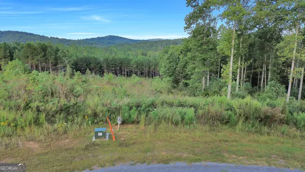 $95,000 | Lt 271 Highgrove Drive, Talking Rock, GA 30175