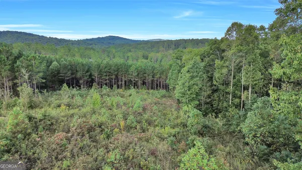 $95,000 | Lt 271 Highgrove Drive, Talking Rock, GA 30175