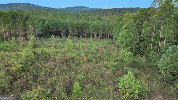 $95,000 | Lt 271 Highgrove Drive, Talking Rock, GA 30175