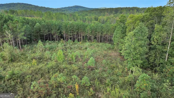 $95,000 | Lt 271 Highgrove Drive, Talking Rock, GA 30175