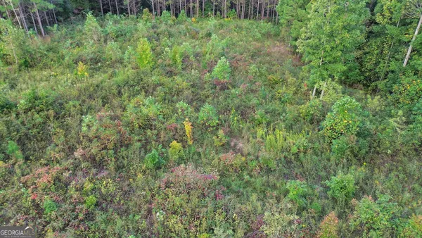 $95,000 | Lt 271 Highgrove Drive, Talking Rock, GA 30175