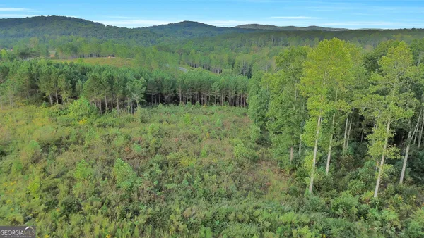$95,000 | Lt 271 Highgrove Drive, Talking Rock, GA 30175