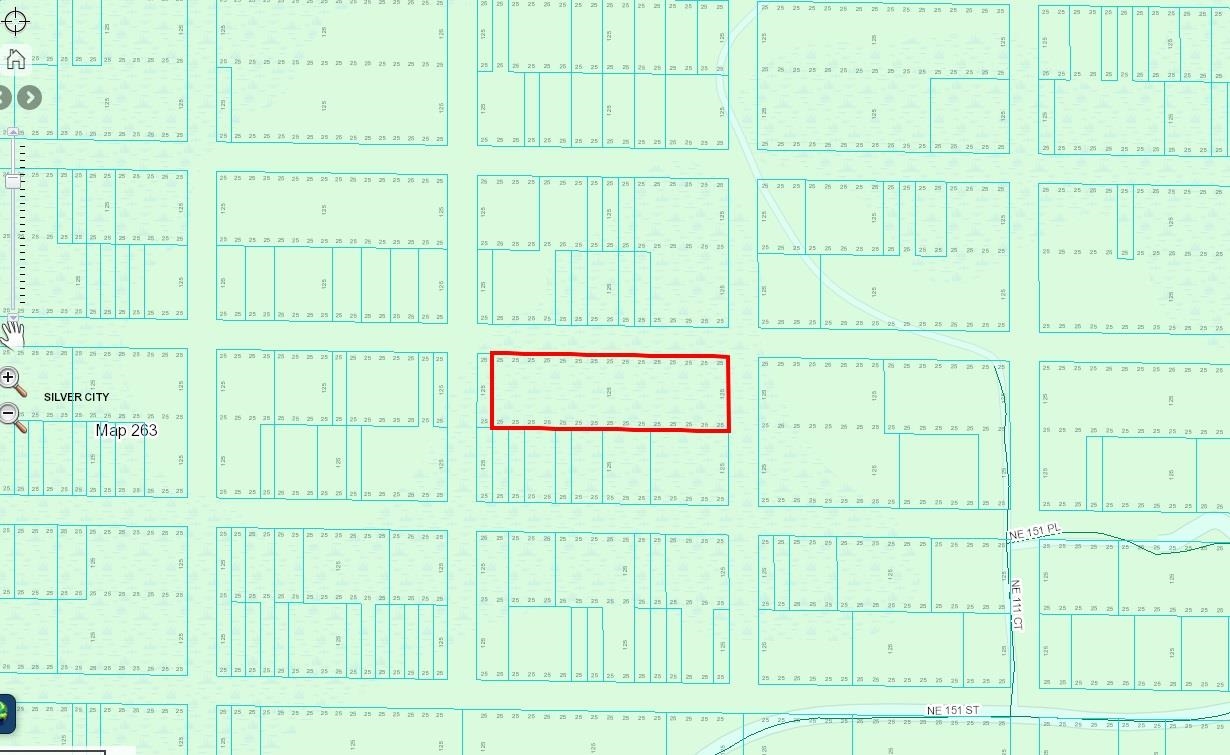 0 No Street Fort McCoy, FL 32134 - Photo 2 of 3