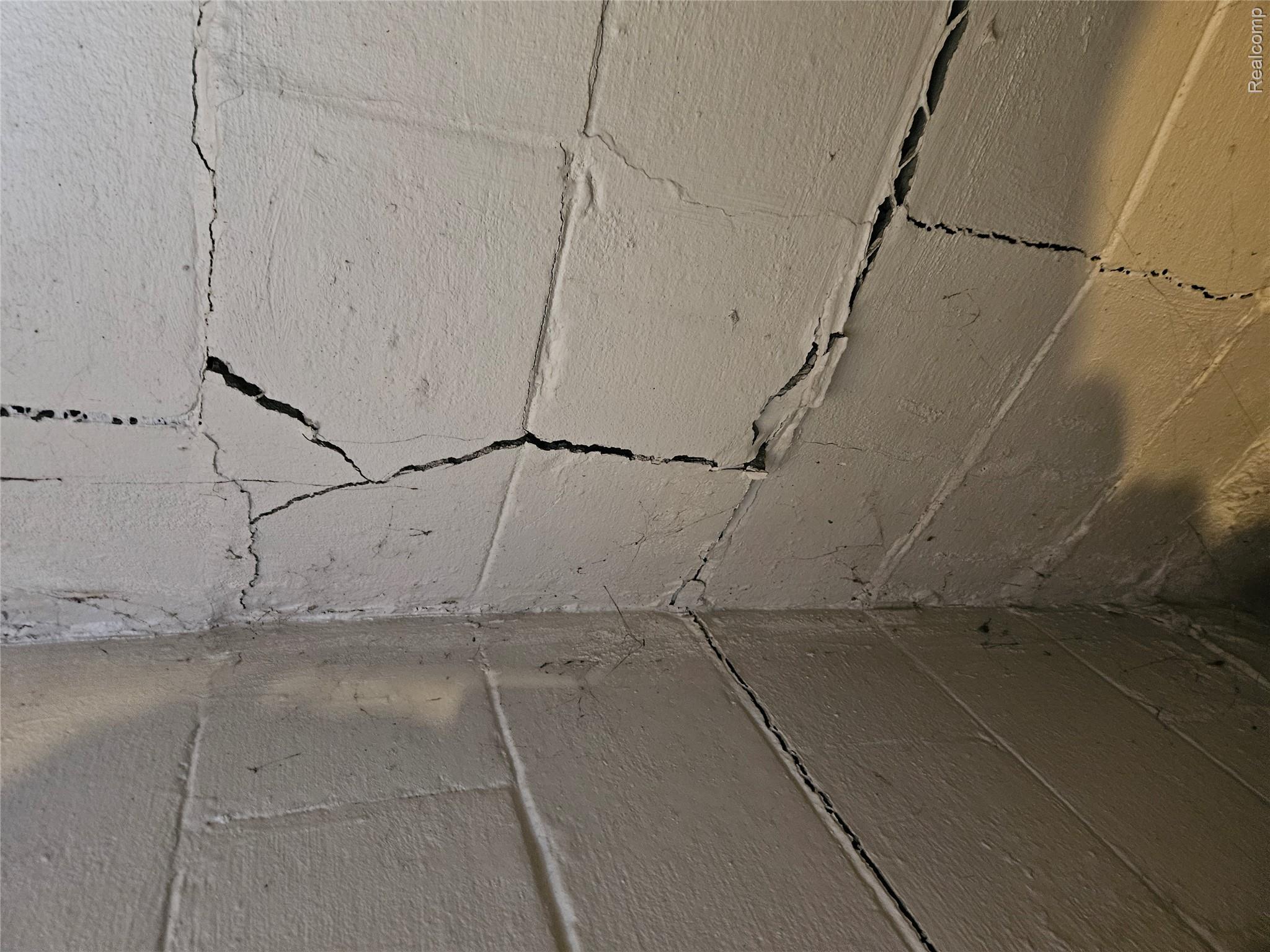 20717 Moross Road Detroit, MI 48224 - Photo 3 of 5 Basement Walls