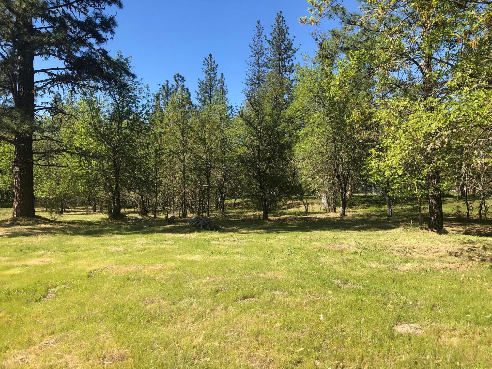 379 Latigo Ranch Road Williams, OR 97544 - Photo 29 of 36 IMG_5284