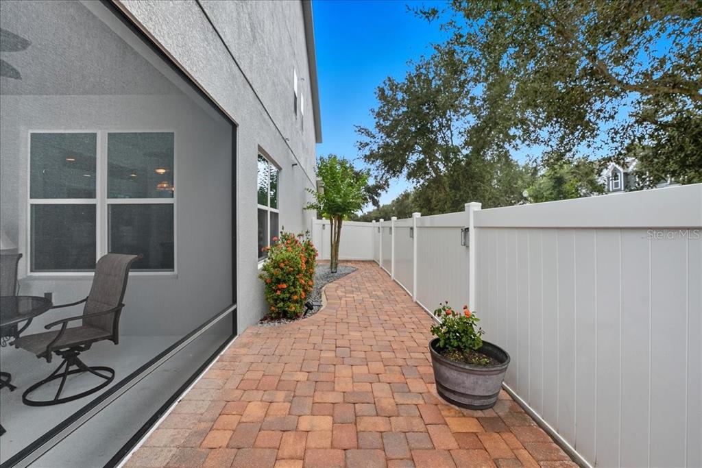 11675 Snail Kite Way Windermere, FL 34786 - Photo 23 of 46 a house with potted plants in front of it