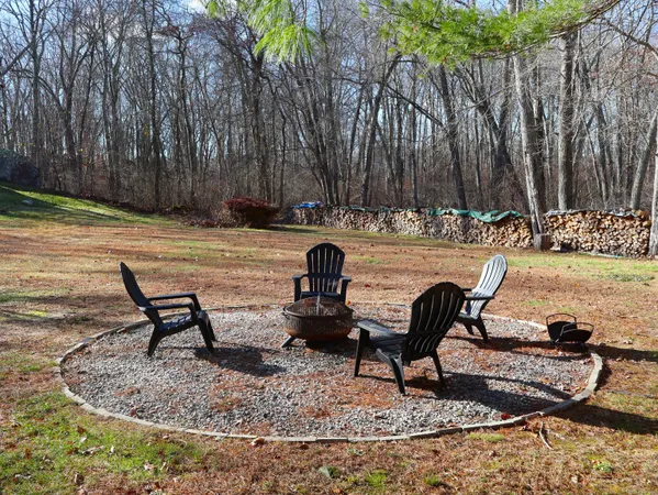 a view of a backyard with plants and large trees