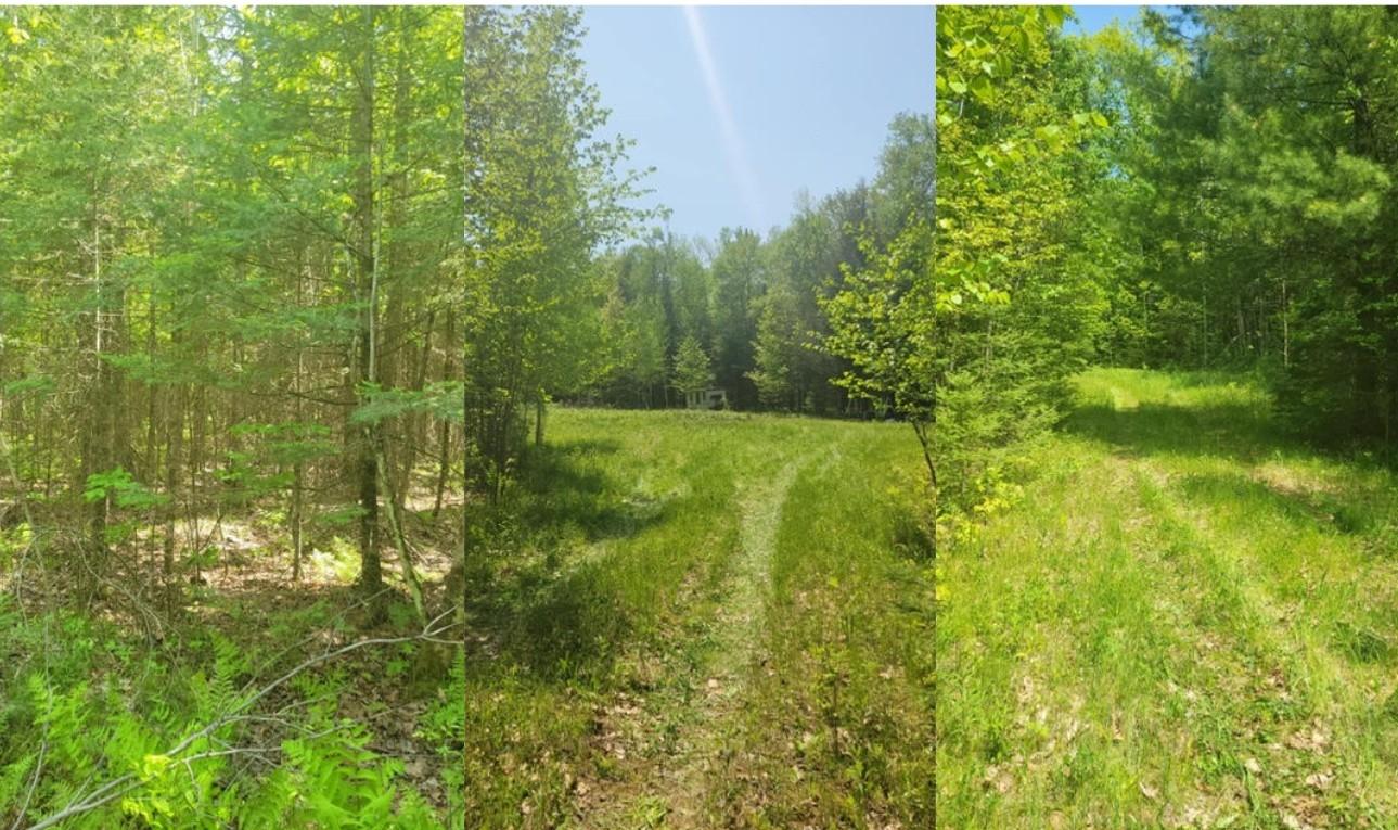 On Johnson Road, Unit 40 ACRES Crandon, WI 54520 - Photo 14 of 23 Gallery Image 14