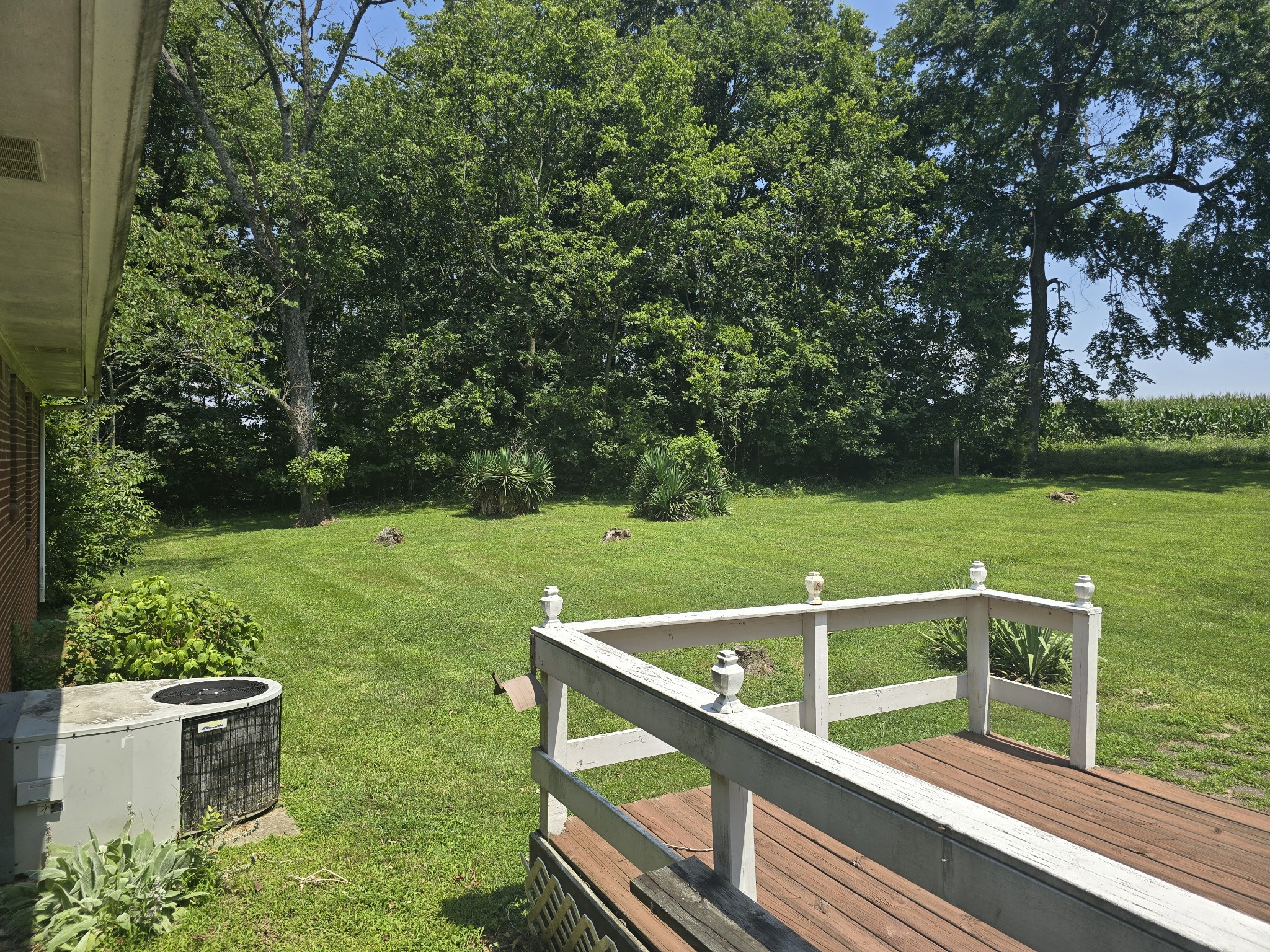 1668 Clarks Store Sinking Fork Road Cerulean, KY 42215 - Photo 12 of 39 Gallery Image 12