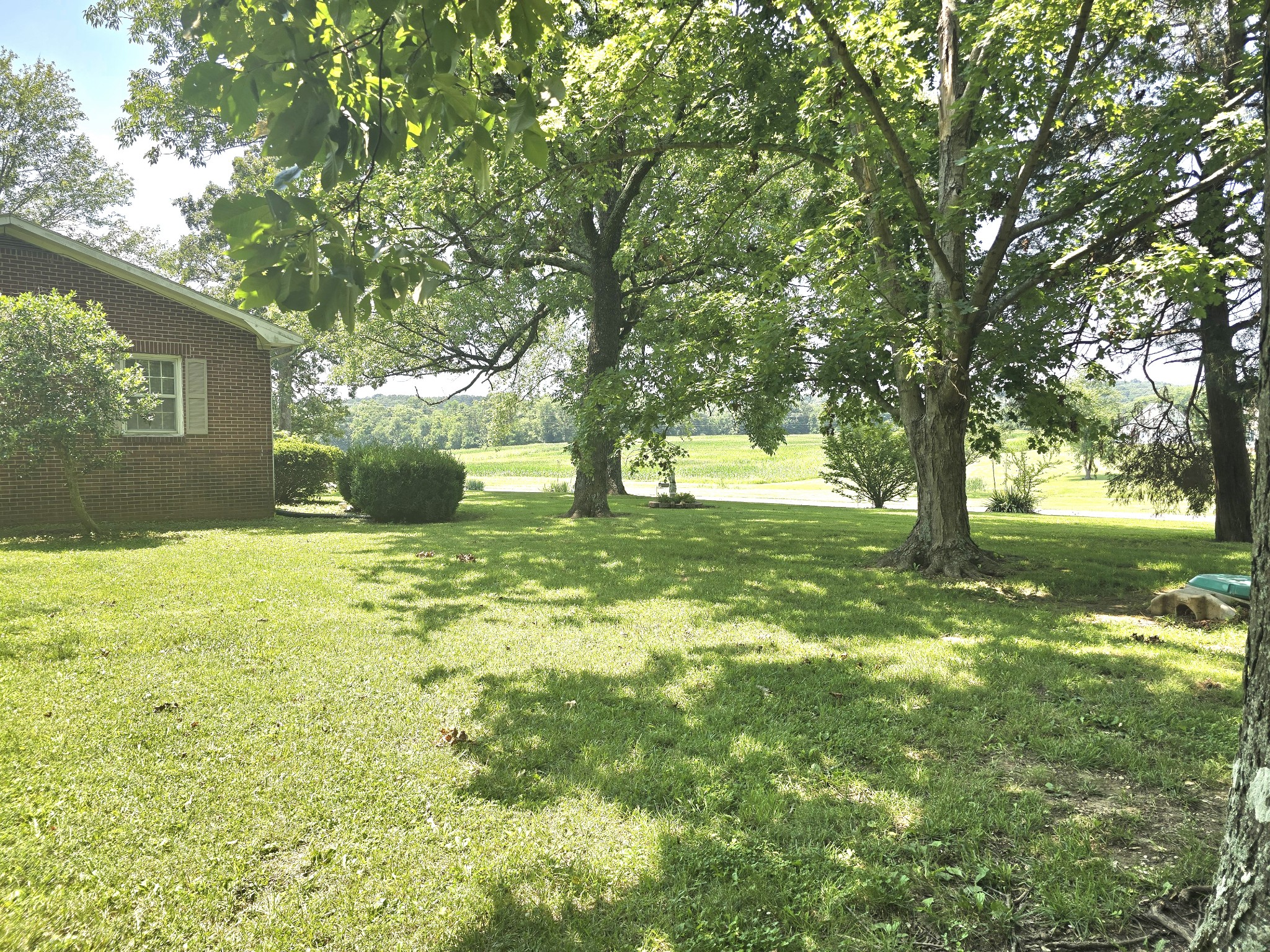 1668 Clarks Store Sinking Fork Road Cerulean, KY 42215 - Photo 6 of 39 Gallery Image 6