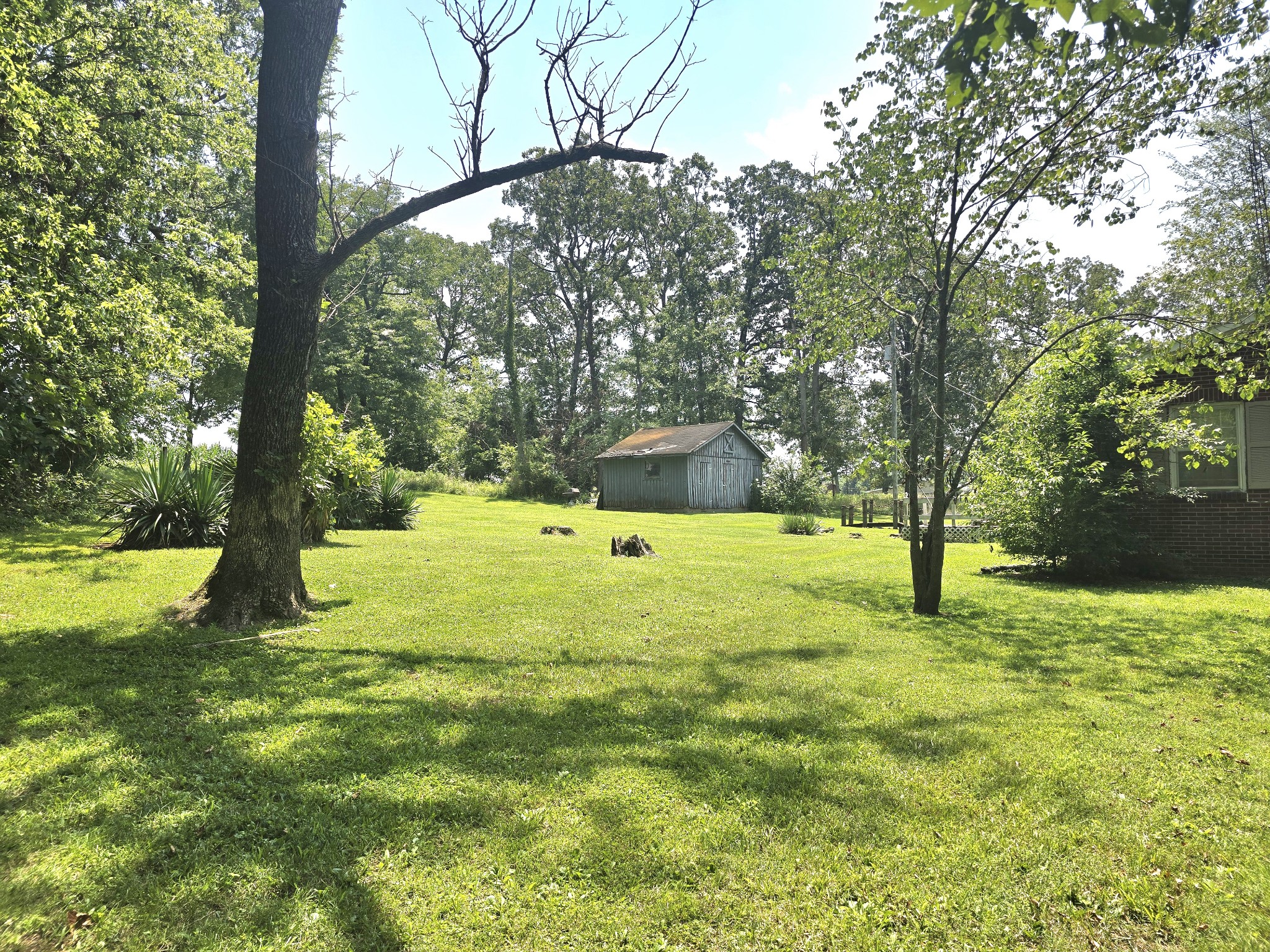 1668 Clarks Store Sinking Fork Road Cerulean, KY 42215 - Photo 9 of 39 Gallery Image 9