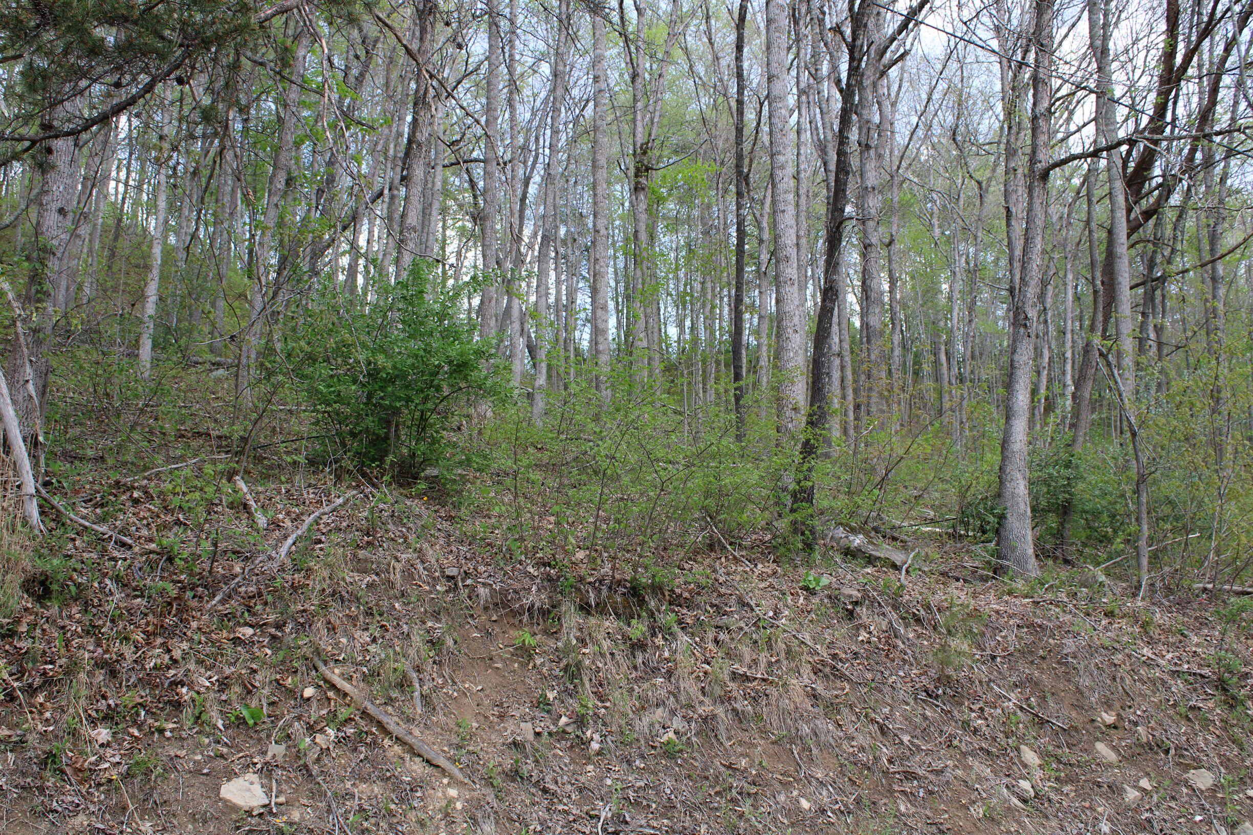 9999 Upper Rader Road Manchester, KY 40962 - Photo 24 of 37 IMG_0801