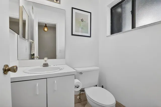 a view of a garden from a window