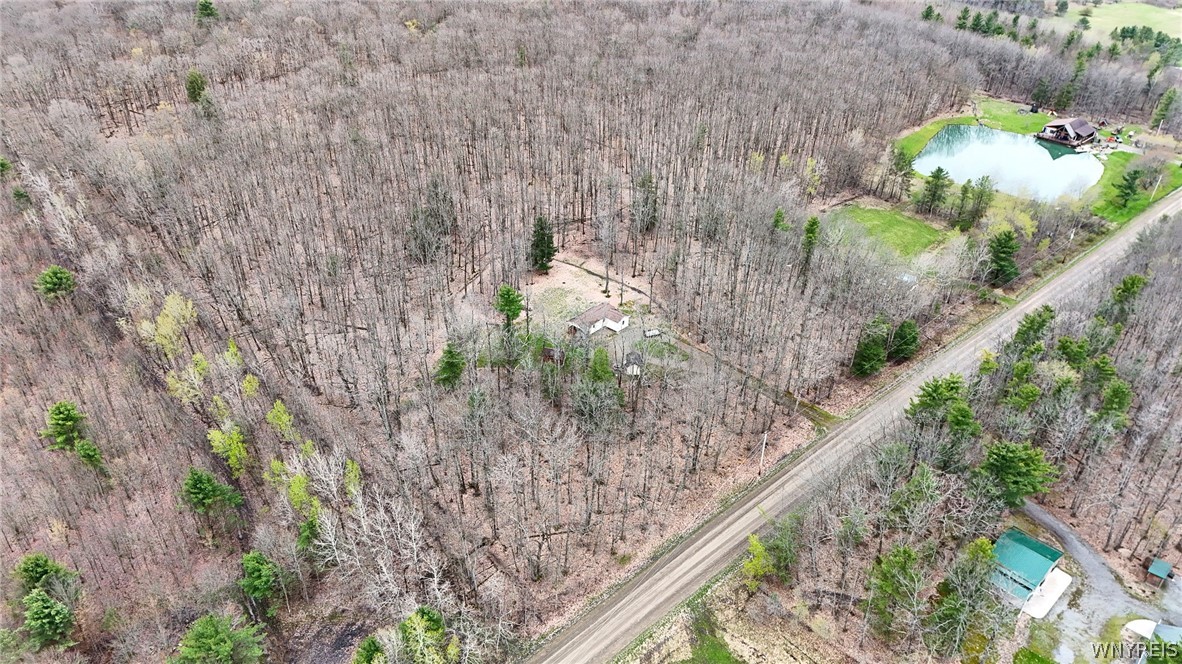 4603 Chapman Road Granger, NY 14846 - Photo 12 of 24
