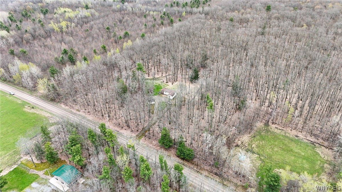 4603 Chapman Road Granger, NY 14846 - Photo 13 of 24