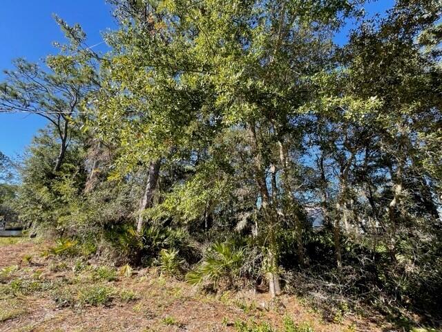 100-blk Blue Bell Circle Santa Rosa Beach, FL 32459 - Photo 14 of 14 a view of a yard