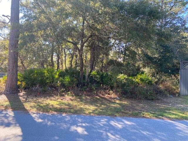 100-blk Blue Bell Circle Santa Rosa Beach, FL 32459 - Photo 8 of 14 a view of a yard with trees in the background
