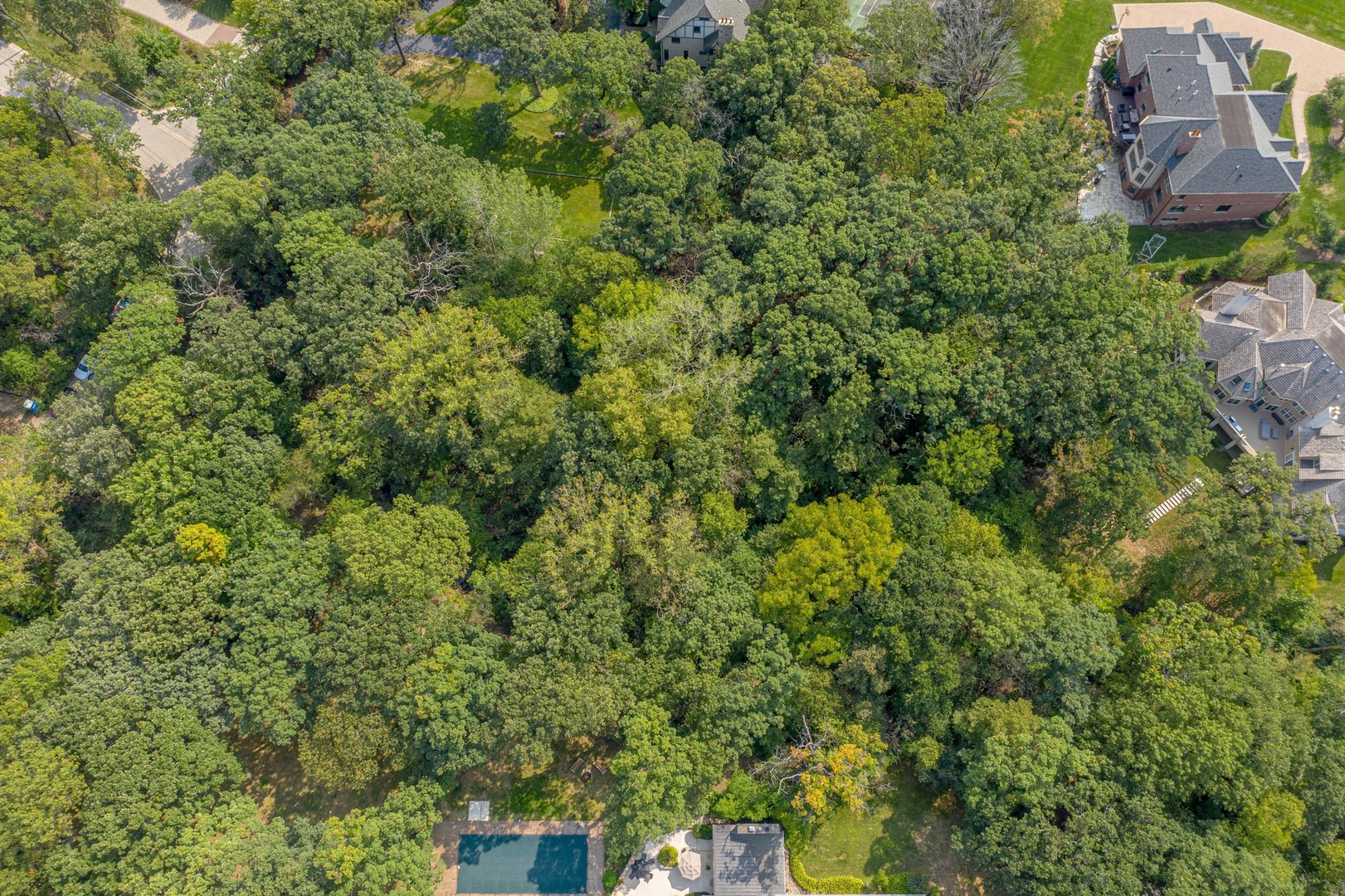 6547 South County Line Road Burr Ridge, IL 60527 - Photo 39 of 59 an aerial view of residential houses with outdoor space and trees