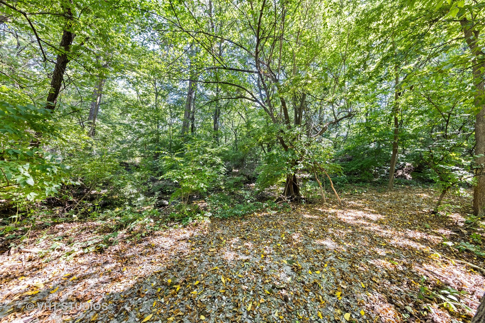 6547 South County Line Road Burr Ridge, IL 60527 - Photo 55 of 59 a big yard with lots of green space and a forest