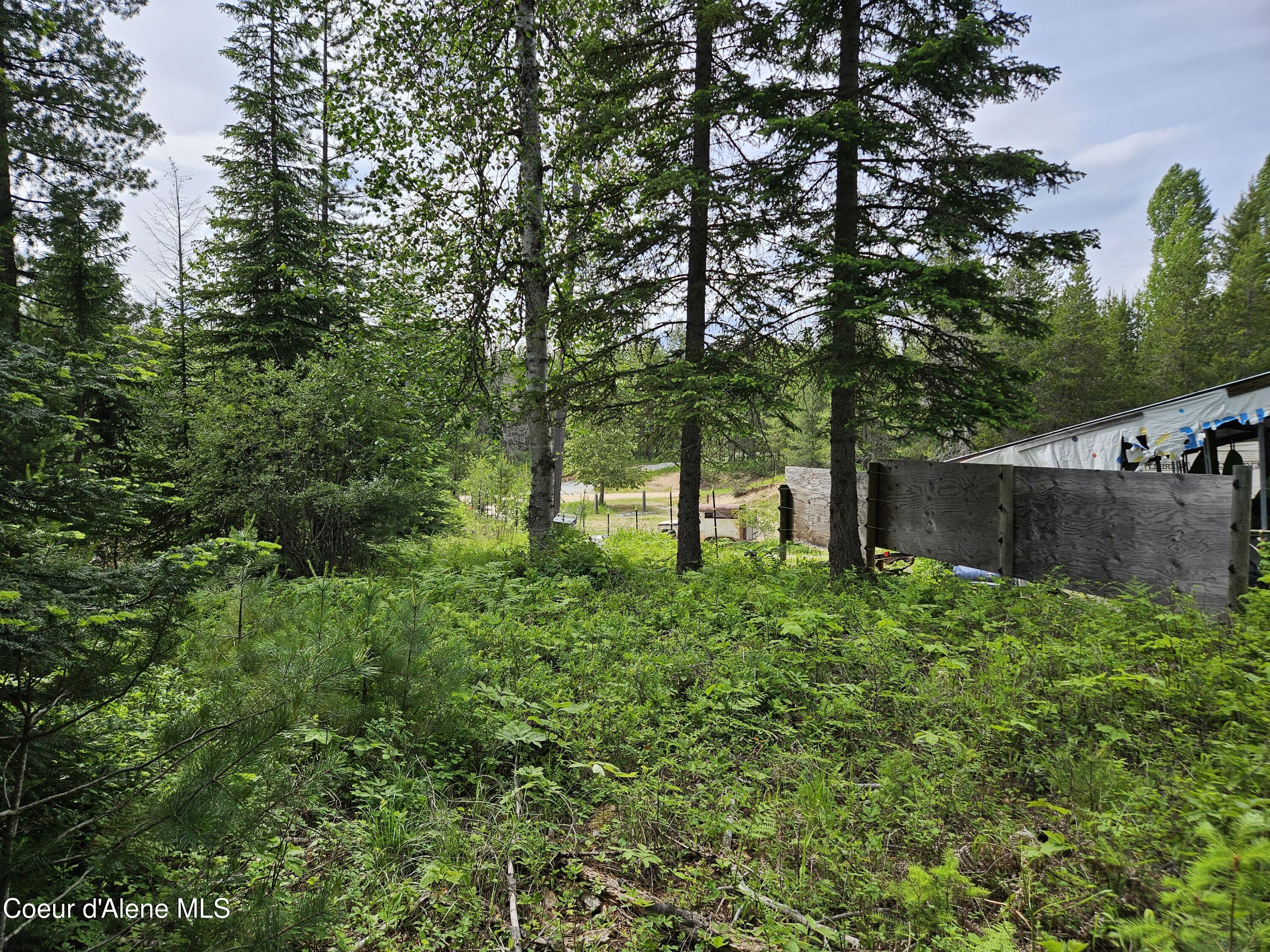 109 Geronimo Lane Sandpoint, ID 83864 - Photo 14 of 36 North property line looking west