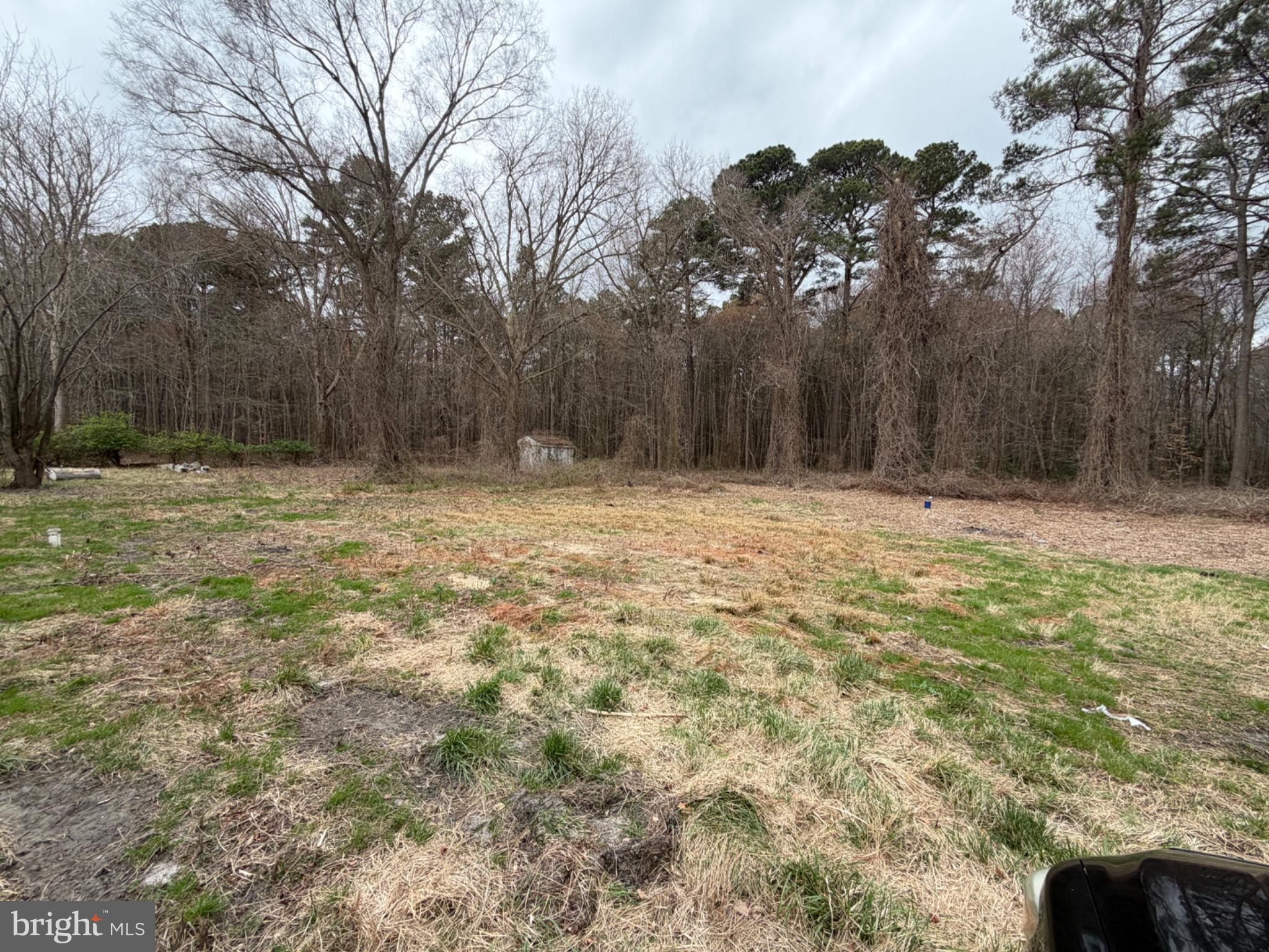 27706 Oriole Road Princess Anne, MD 21853 - Photo 1 of 3
