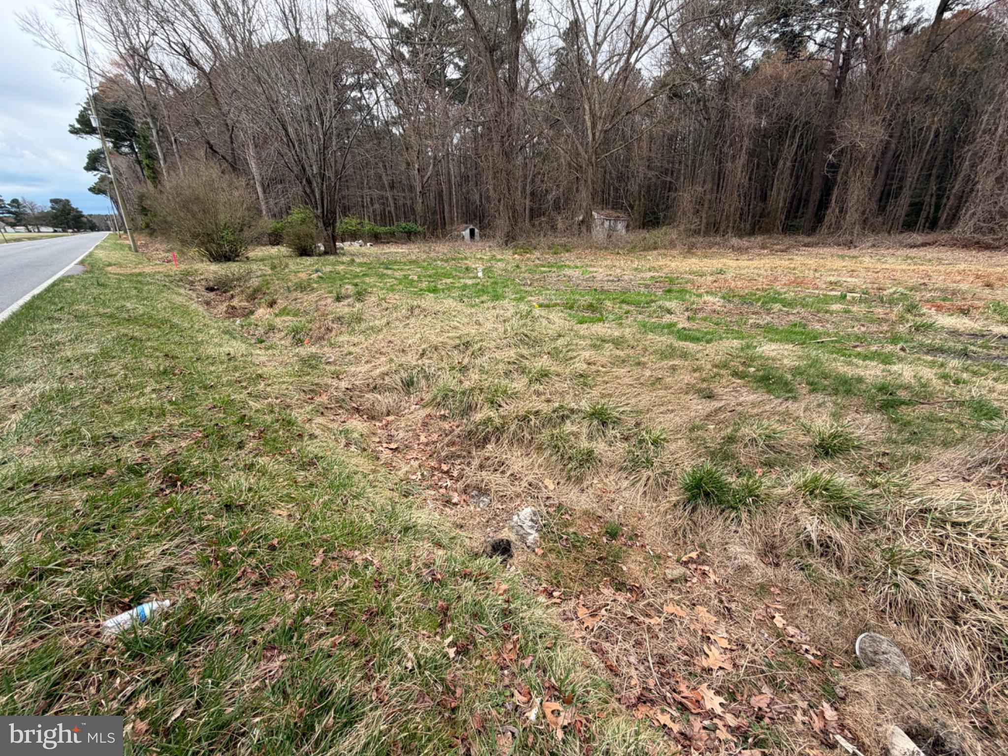 27706 Oriole Road Princess Anne, MD 21853 - Photo 2 of 3