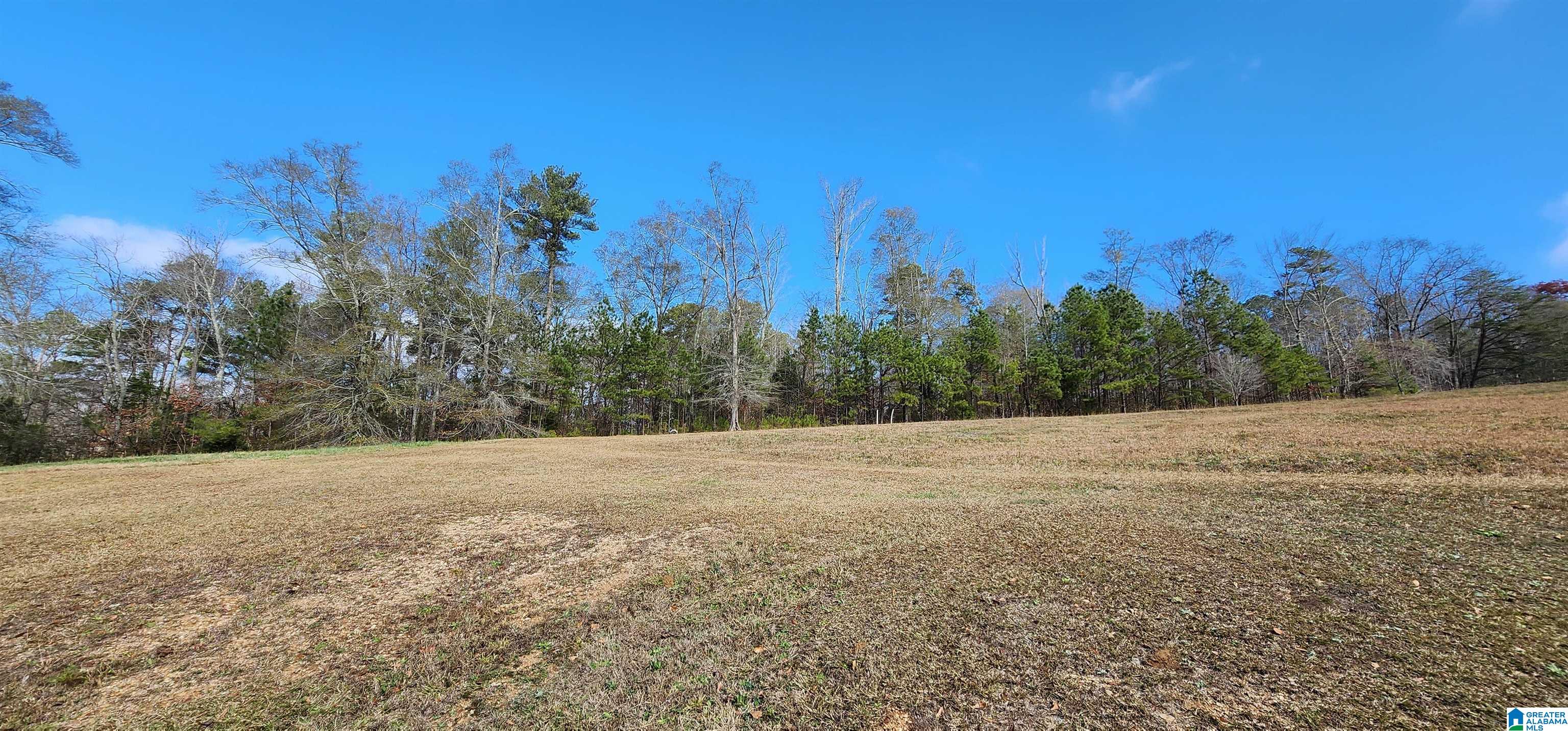 352 Kudzu Road Oneonta, AL 35121 - Photo 50 of 57
