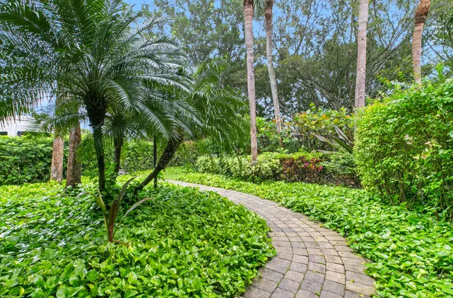a view of a garden with plants