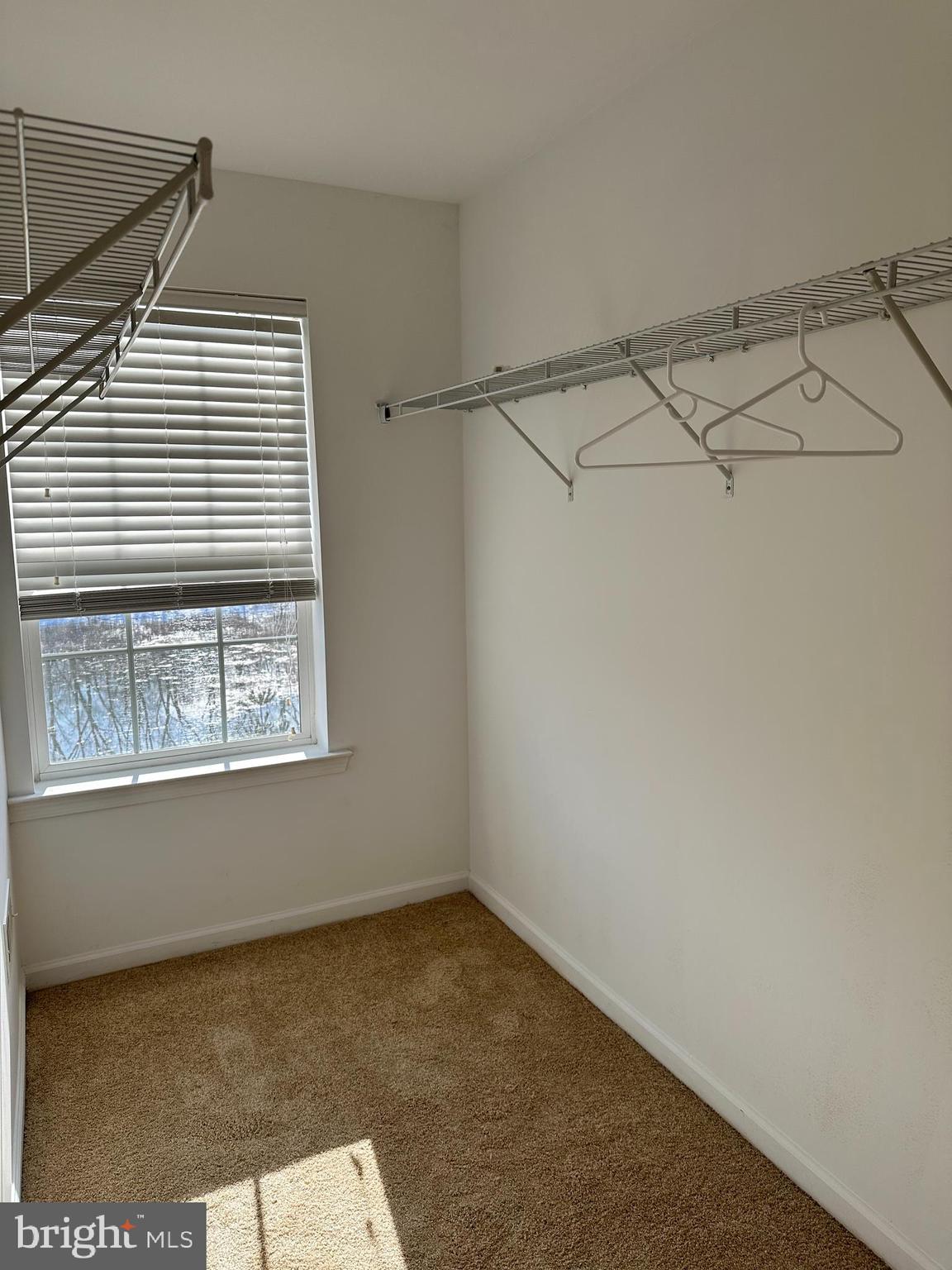 3910 Cephas Child Road, Unit 12 Doylestown, PA 18902 - Photo 9 of 14 1st Bed Closet