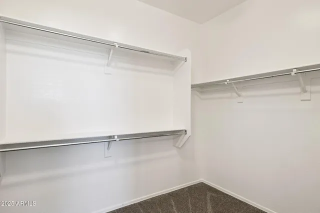 a small pool with lots of trees in the background