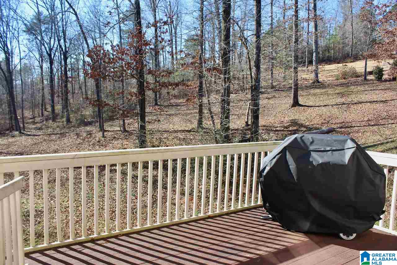 101 Orchard Lane Helena, AL 35080 - Photo 2 of 38