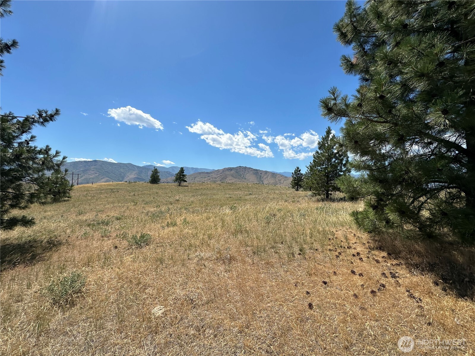 -tbd Peterson Rnch Road Pateros, WA 98846 - Photo 6 of 20 a view of a yard