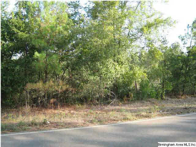 Howell Cove Road Talladega, AL 35160 - Photo 2 of 9