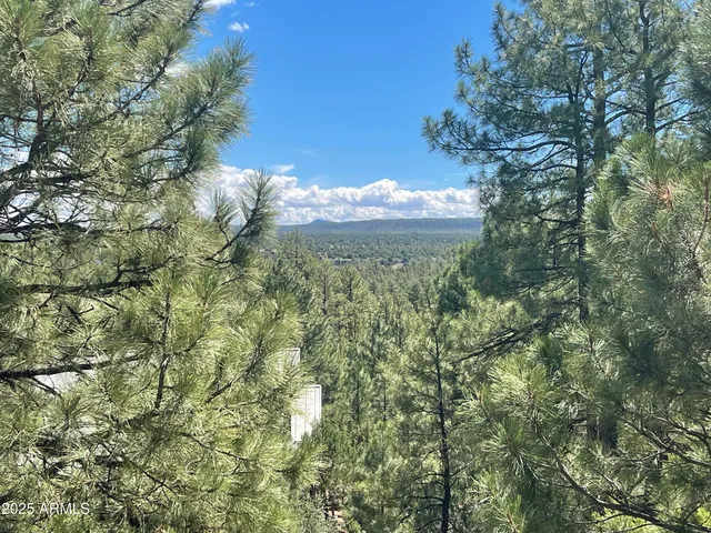 a view of a city with lush green forest