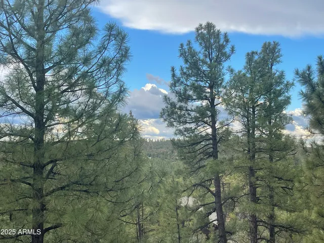 $895,000 | 861 Pine Oaks Drive, Show Low, AZ 85901