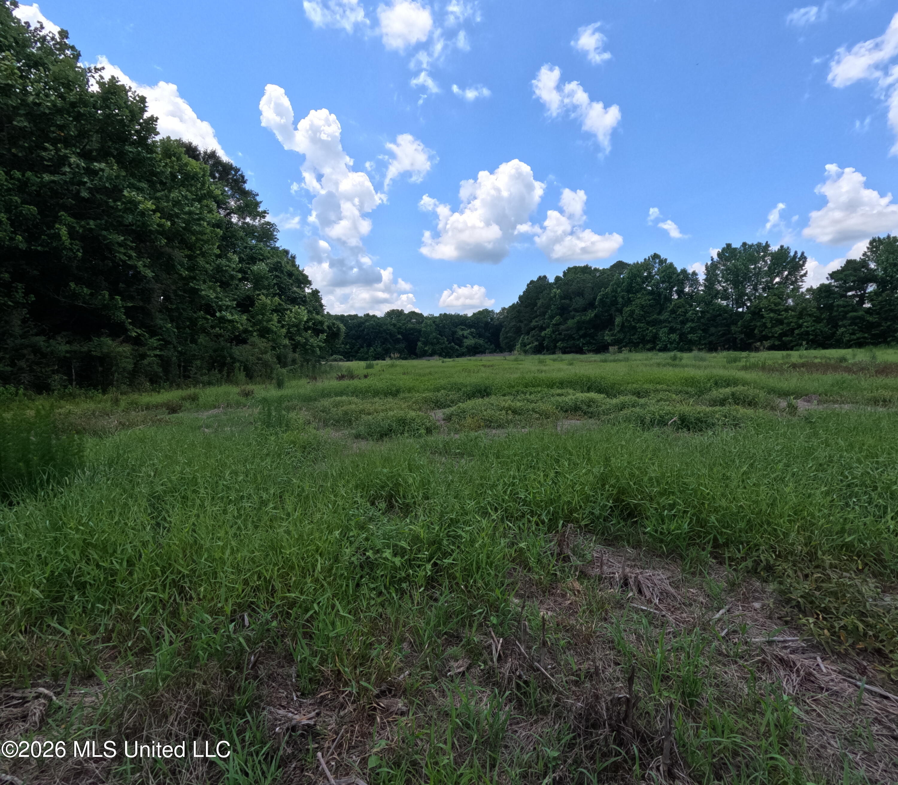 Old Port Edwards, MS 39066 - Photo 6 of 65 GOPR2279