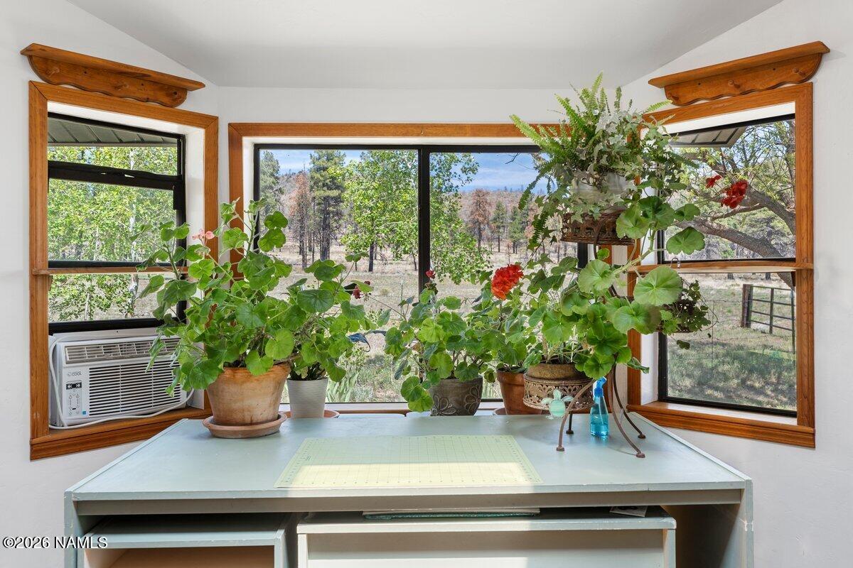 5535 East Western Star Road Flagstaff, AZ 86004 - Photo 18 of 44 a view of a potted plant sitting on a table