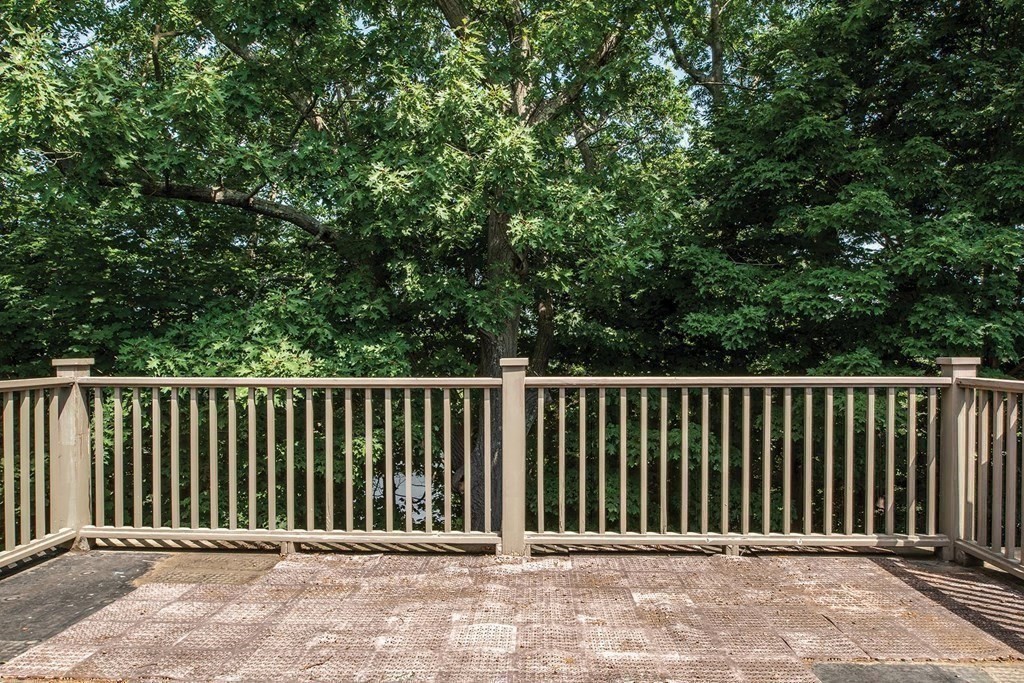 63 Royce Road Newton, MA 02459 - Photo 13 of 16 Gallery Image 13
