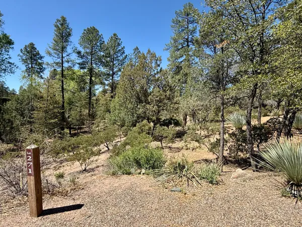 a view of a yard with trees
