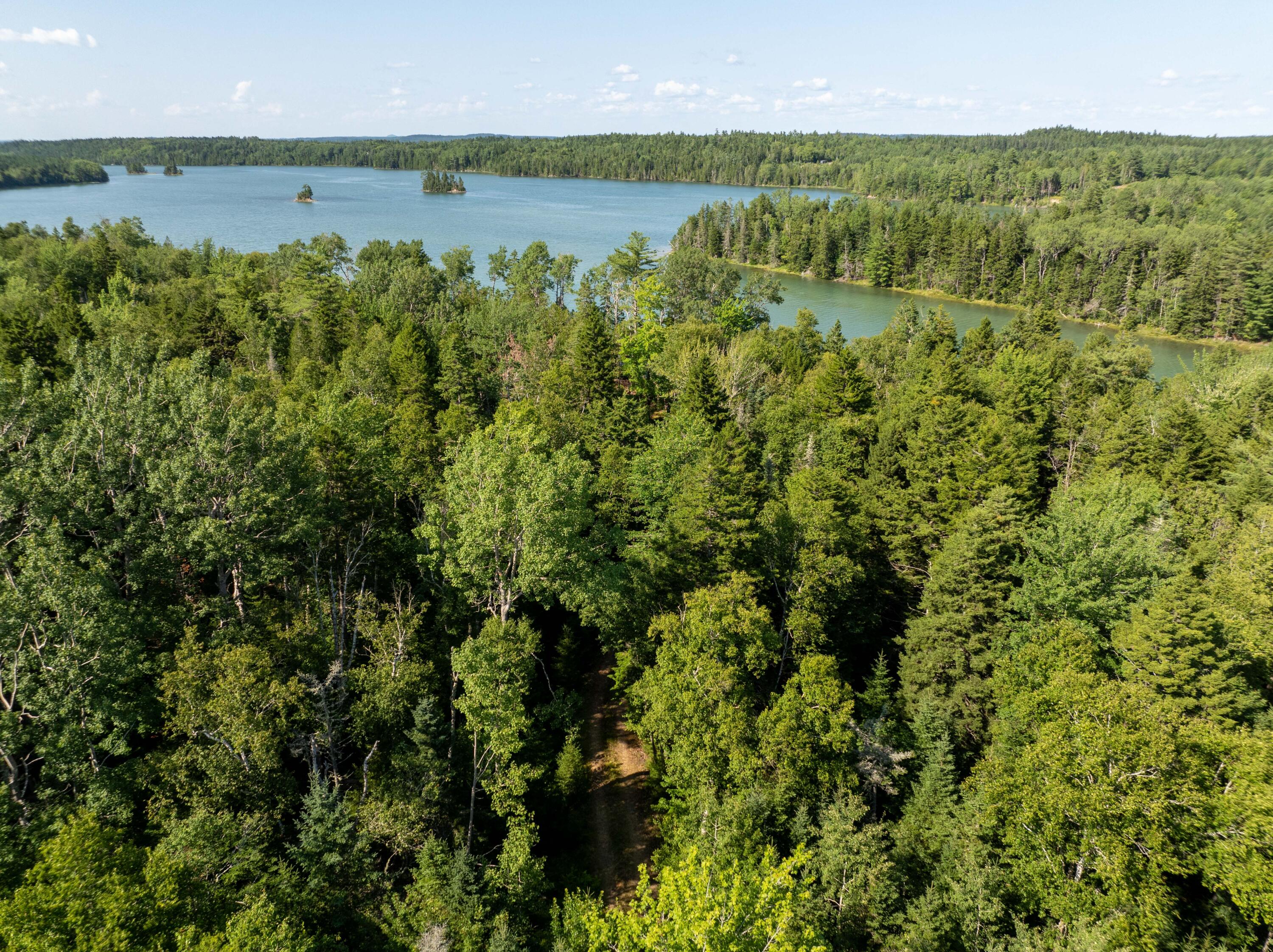 Lot 91 Lyons Road Lubec, ME 04652 - Photo 3 of 12 Lot 91 Lyons Rd. Lubec (19 of 28)