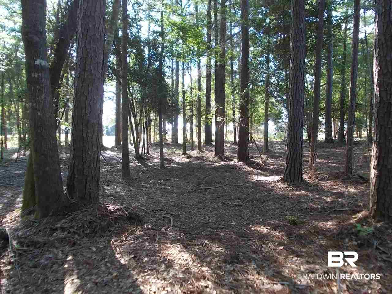 0 Ernest Patterson Road Robertsdale, AL 36567 - Photo 8 of 14