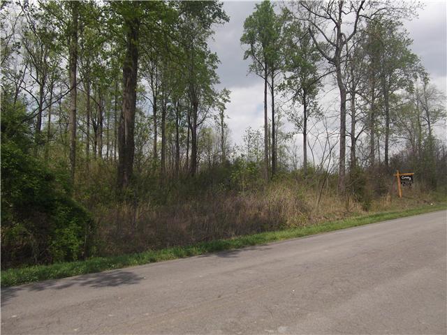 5900 Fred Perry Road Springfield, TN 37172 - Photo 2 of 6