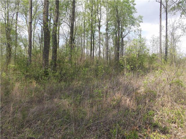 5900 Fred Perry Road Springfield, TN 37172 - Photo 3 of 6