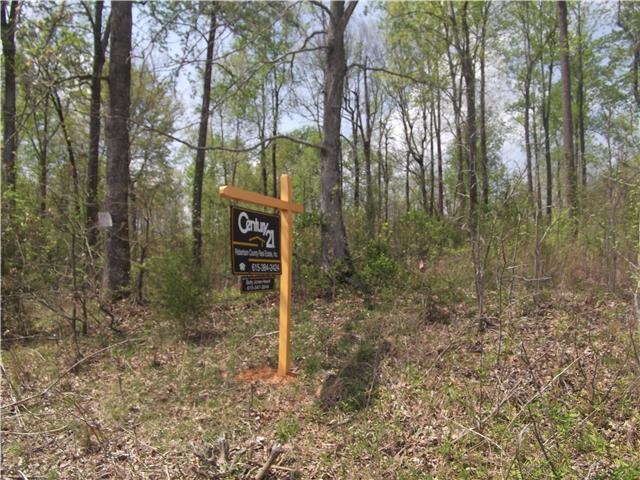 5900 Fred Perry Road Springfield, TN 37172 - Photo 5 of 6