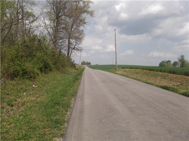 5900 Fred Perry Road Springfield, TN 37172 - Photo 6 of 6