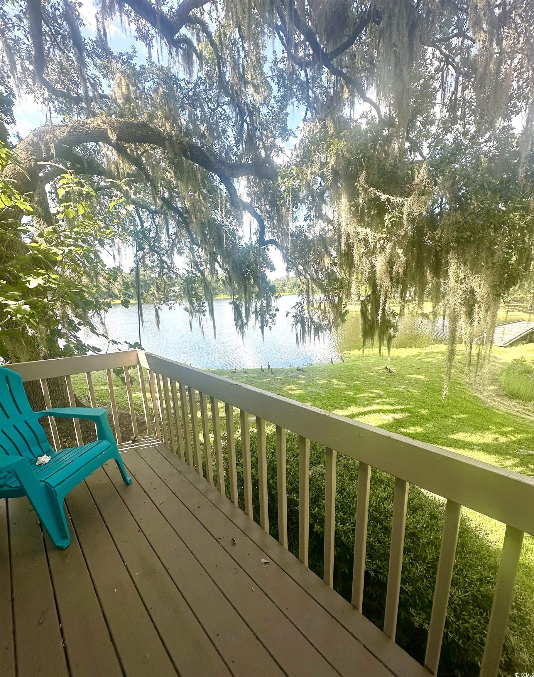 101 Mayrant Bluff Road, Unit 102 Georgetown, SC 29440 - Photo 20 of 27 Gallery Image 20