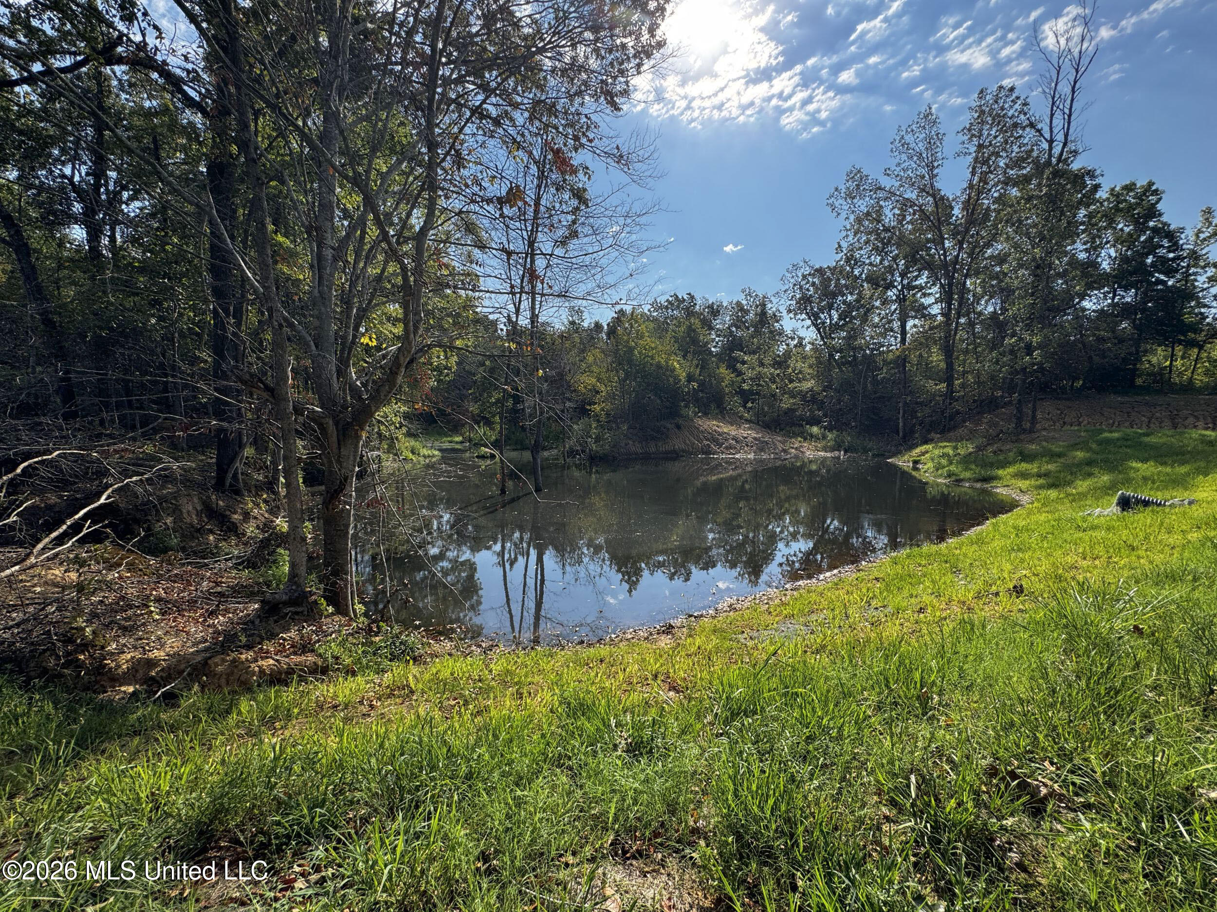 1765 Chapel Town Road Courtland, MS 38620 - Photo 103 of 135 9ltzcpl76