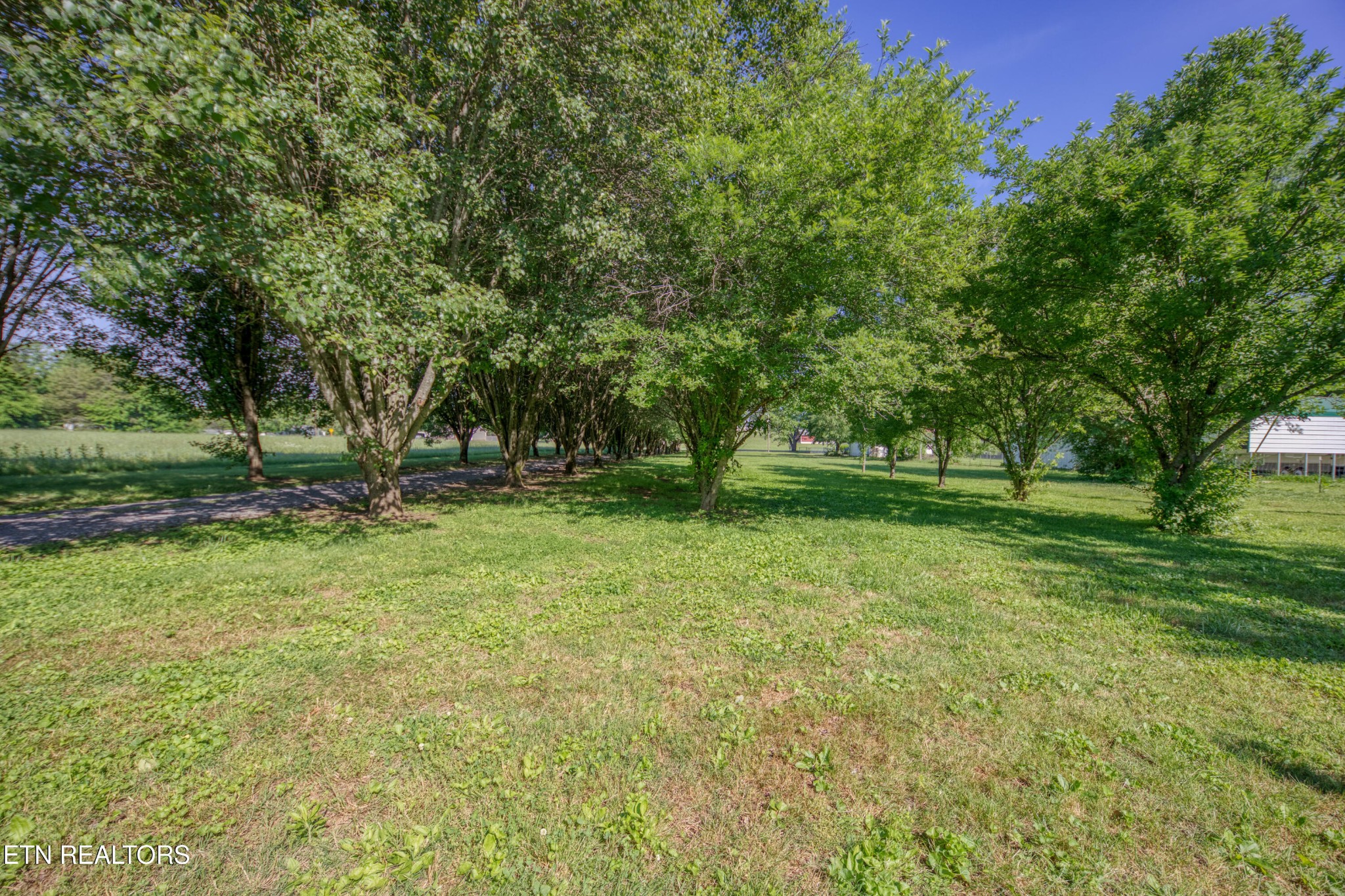 4479 Niles Ferry Road Greenback, TN 37742 - Photo 39 of 42